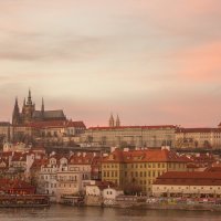 Hlavní obrázek - Klinické detektivky v mnohoznačném světě TNF-alfa